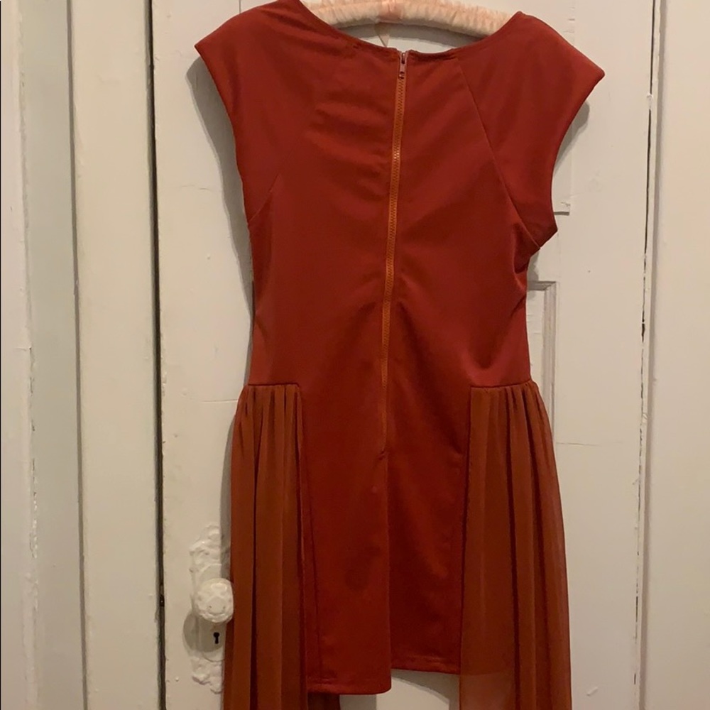 Rust Cocktail Dress - Picture 10 of 10